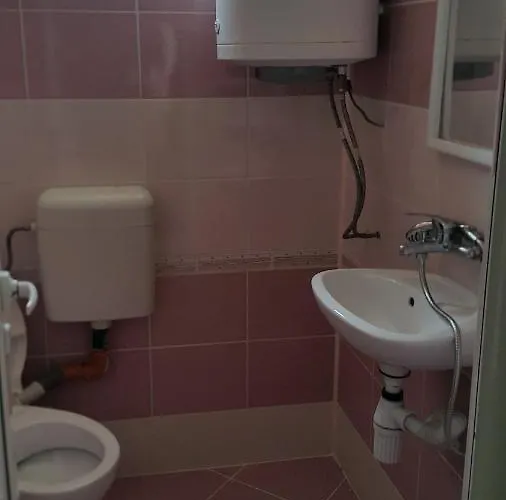 на гости при силвия