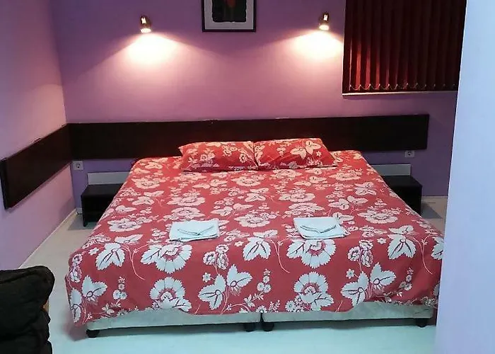 Guest house на гости при силвия Obzor