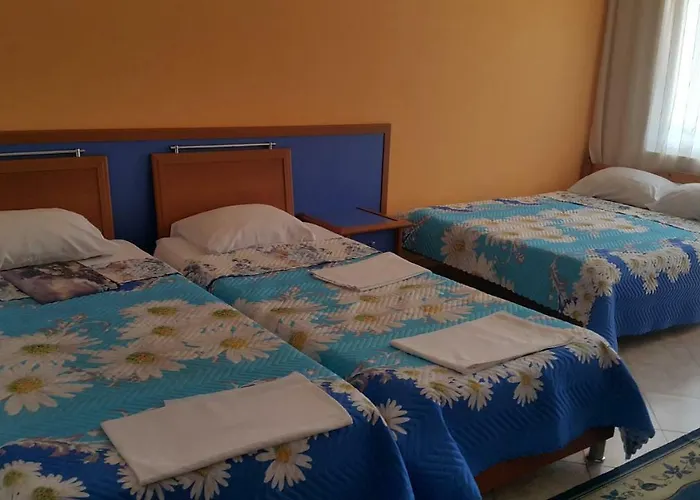 на гости при силвия