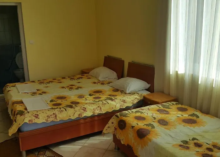 Guest house на гости при силвия Obzor